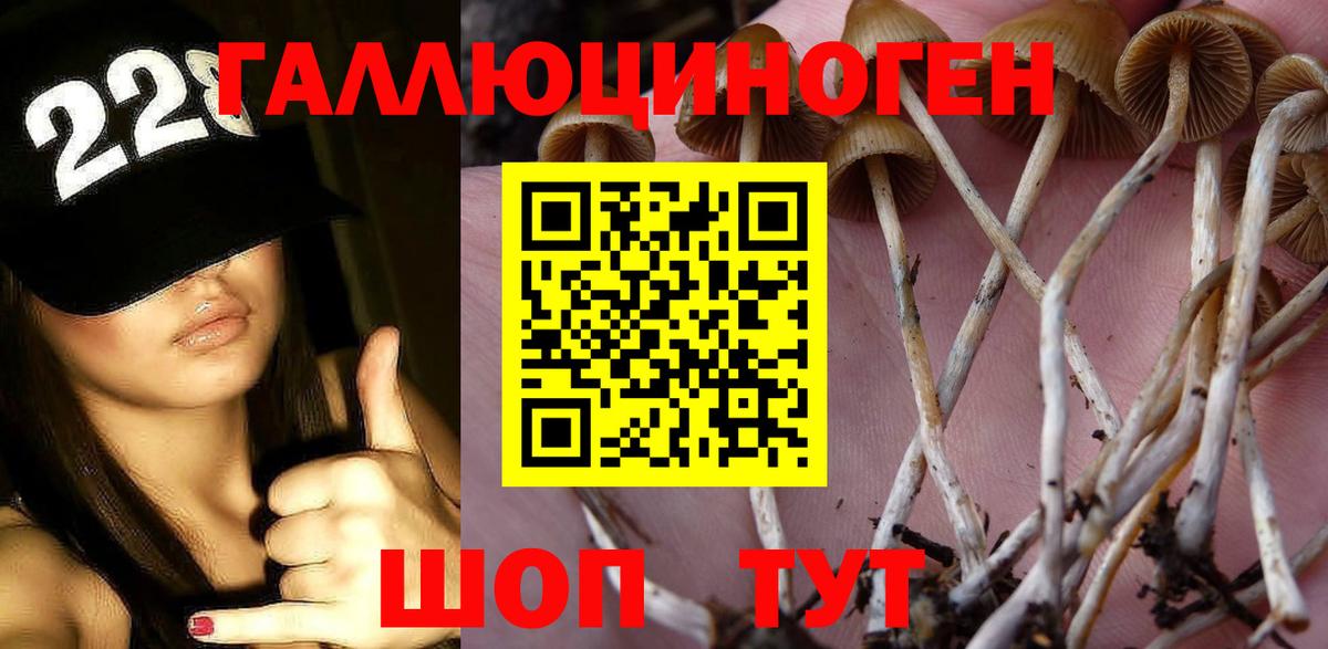 Шебекино  Галлюциногенные грибы Magic Shrooms  Вход с VPN 