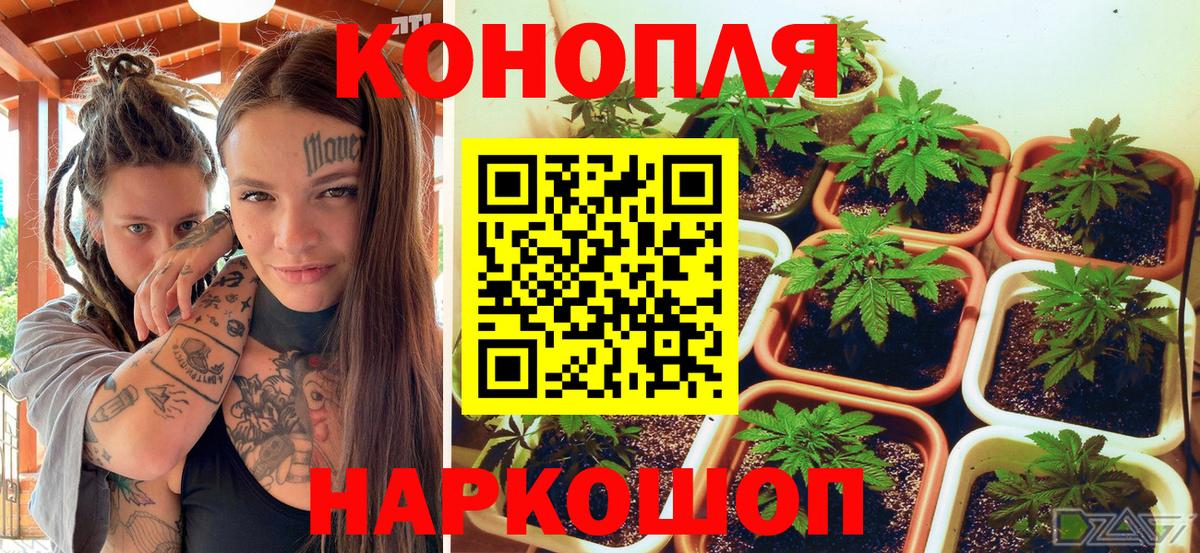 Бошки Шишки марихуана  Бошки марихуана LSD WEED  Бошки марихуана AK-47  Шебекино  Вход с VPN  Шишки марихуана MAZAR 